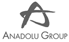 Anadolu Grup