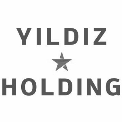 Yıldız Holding